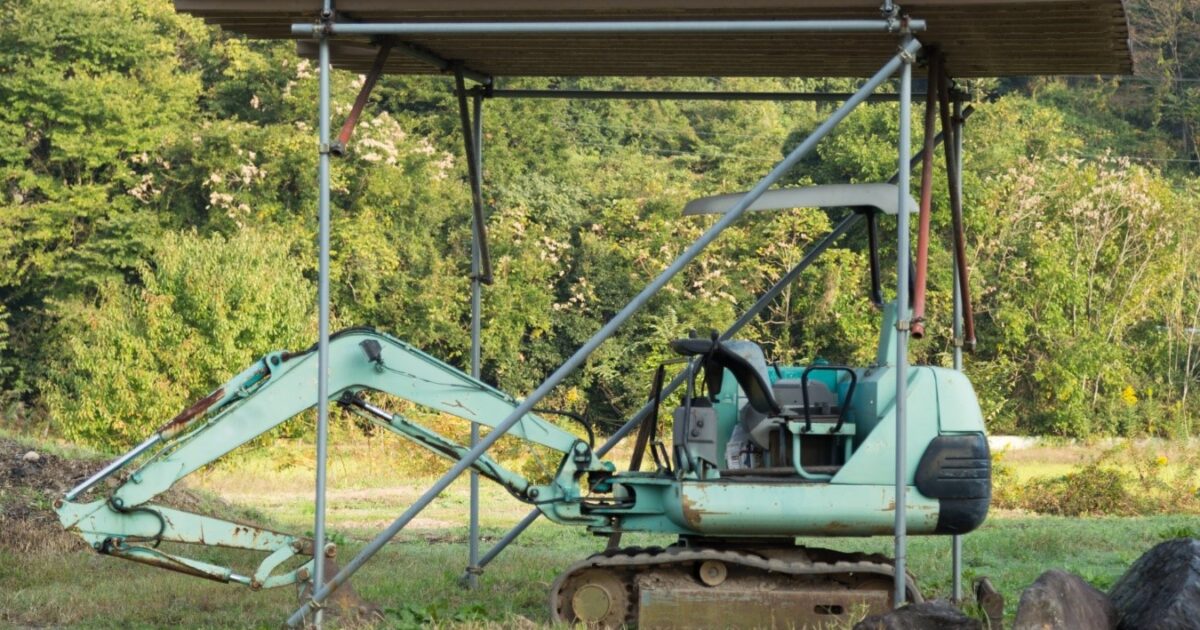 竹林駆逐の難しさ 竹は木や草よりも駆除が難しい