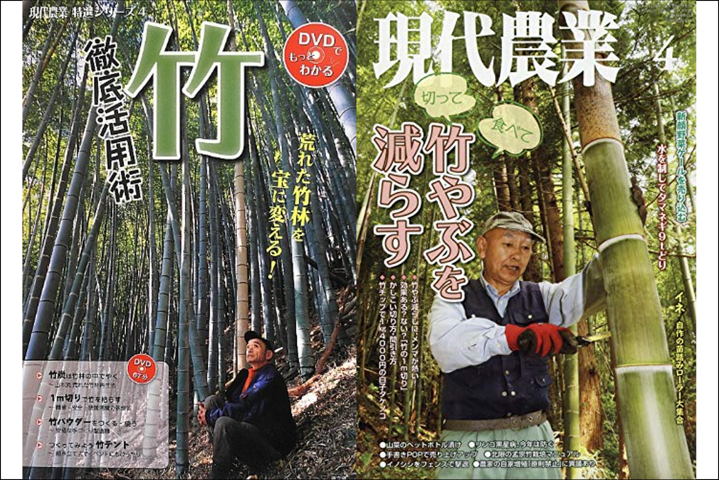 竹1メートル切りは竹林駆逐には有効